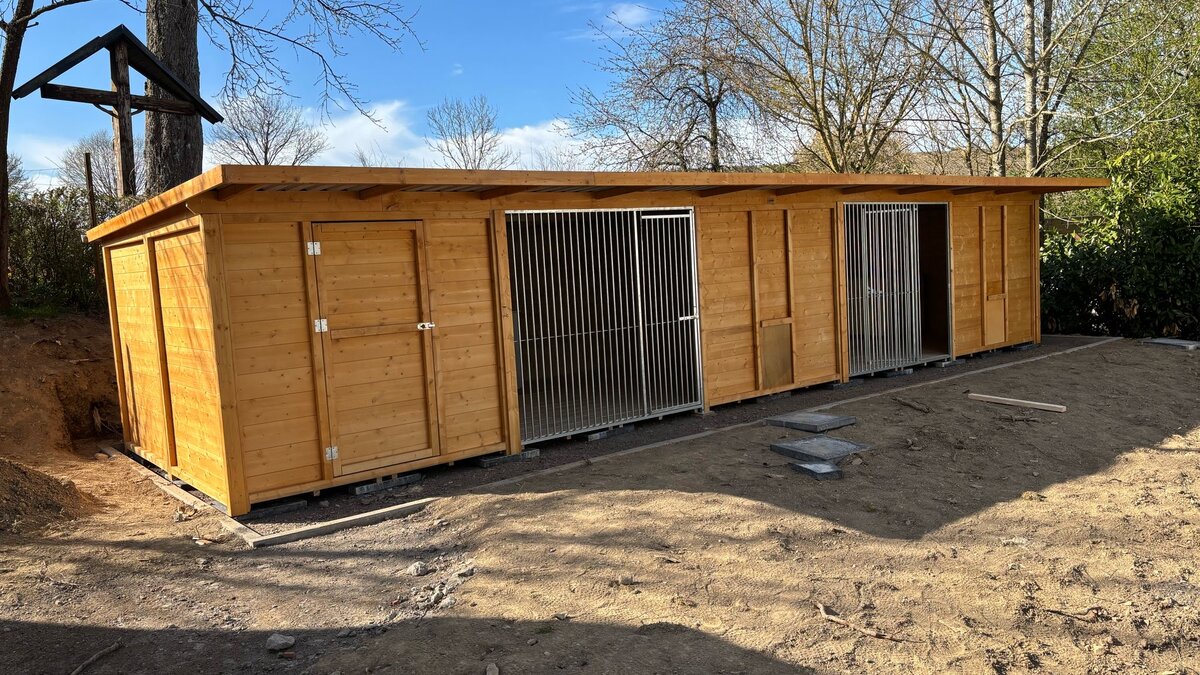 Doppelzwinger mit zwei Abteilen und mittiger Trennwand – je ein Hund pro Abteil